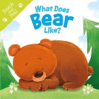 Cover image for What Does Bear Like (Touch & Feel): Touch & Feel Board Book