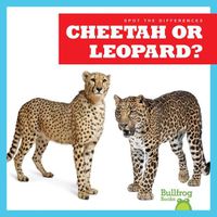 Cover image for Cheetah or Leopard?