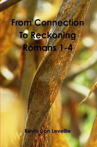 Cover image for From Connection to Reckoning Romans 1-4