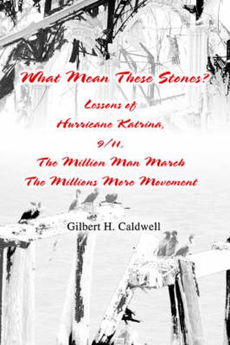 Cover image for What Mean These Stones?: Lessons of Hurricane Katrina, 9/11, The Million Man March The Millions More Movement