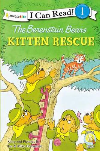 The Berenstain Bears' Kitten Rescue: Level 1