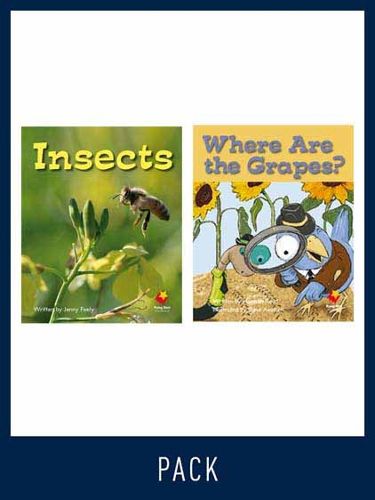 Cover image for Flying Start Guided Reading Pack Level 7, Pack 3: Paired student books (6x6) and lesson plan (1)