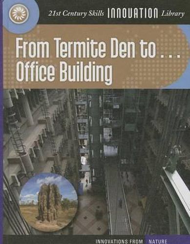 From Termite Den to Office Building