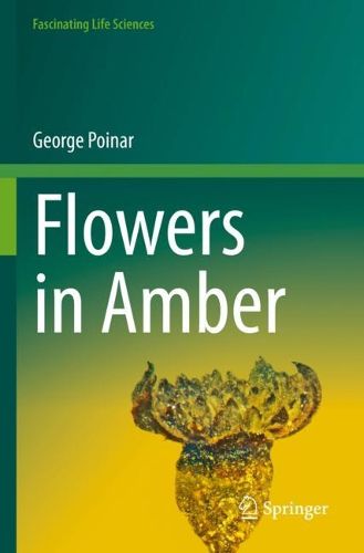 Cover image for Flowers in Amber