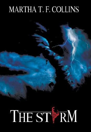 Cover image for The Storm