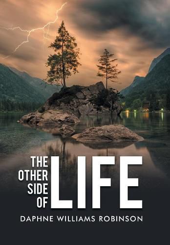 Cover image for The Other Side of Life