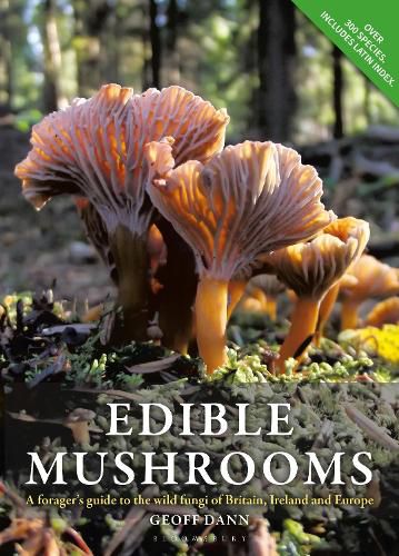 Cover image for Edible Mushrooms: A Forager's Guide to the Wild Fungi of Britain, Ireland and Europe