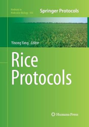 Cover image for Rice Protocols