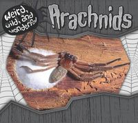 Cover image for Arachnids