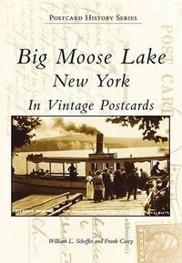 Cover image for Big Moose Lake