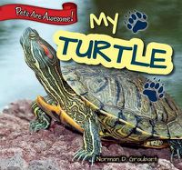 Cover image for My Turtle