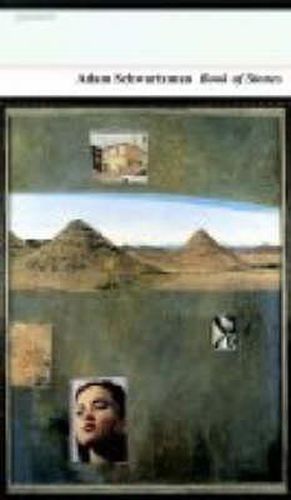 Cover image for Book of Stones