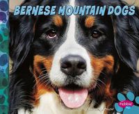 Cover image for Bernese Mountain Dogs