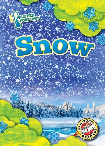 Cover image for Snow