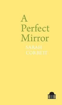 Cover image for A Perfect Mirror