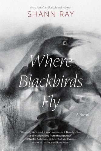 Cover image for Where Blackbirds Fly