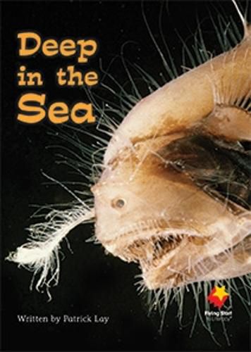 Cover image for Deep in the Sea