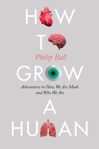 Cover image for How to Grow a Human: Adventures in How We Are Made and Who We Are