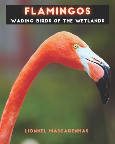 Cover image for Flamingos