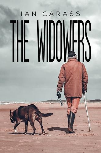 Cover image for The Widowers