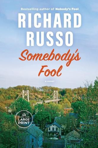 Cover image for Somebody's Fool