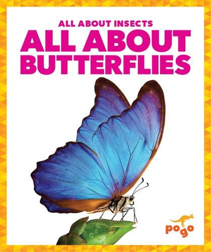 Cover image for All about Butterflies