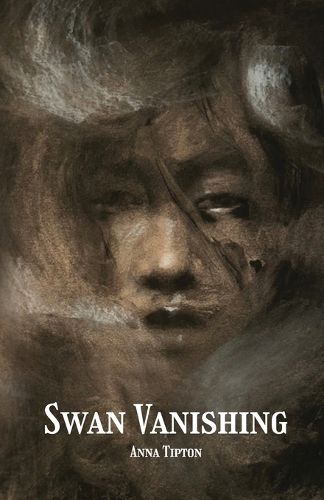 Cover image for Swan Vanishing