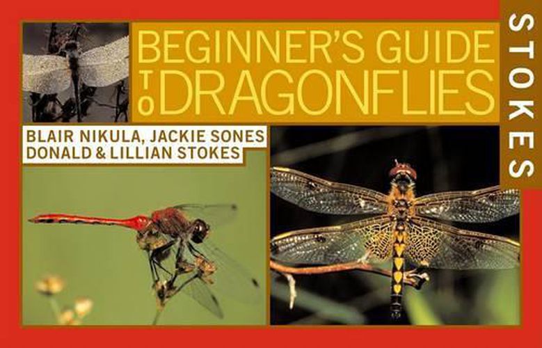 Cover image for Stokes Beginner's Guide to Dragonflies