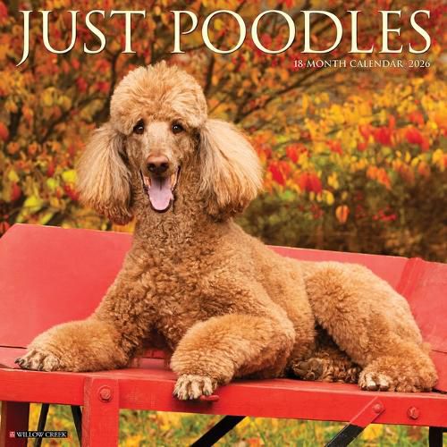 Cover image for Poodles 2026 Wall Calendar