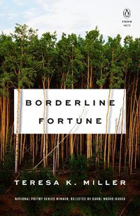 Cover image for Borderline Fortune