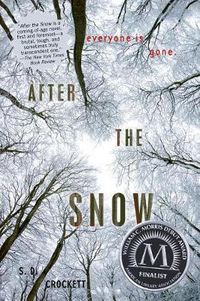 Cover image for After the Snow