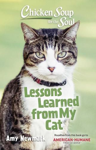 Cover image for Chicken Soup for the Soul: Lessons Learned from My Cat: 101 Tales of Friendship and Fun