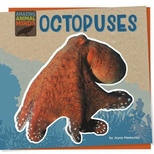 Cover image for Octopuses