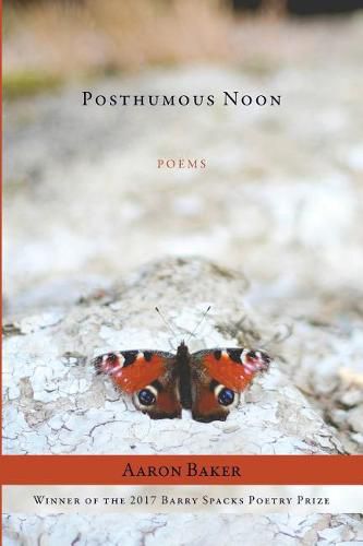 Cover image for Posthumous Noon