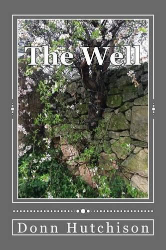 Cover image for The Well