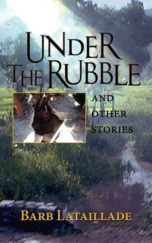 Cover image for Under the Rubble