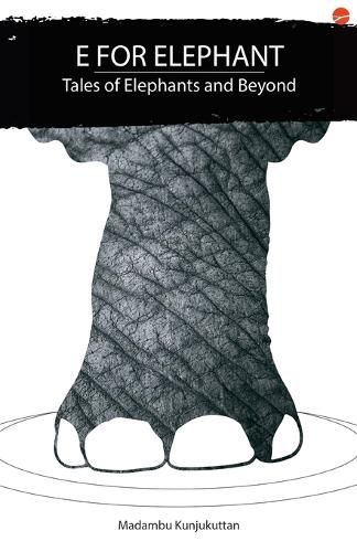 Cover image for E for Elephant