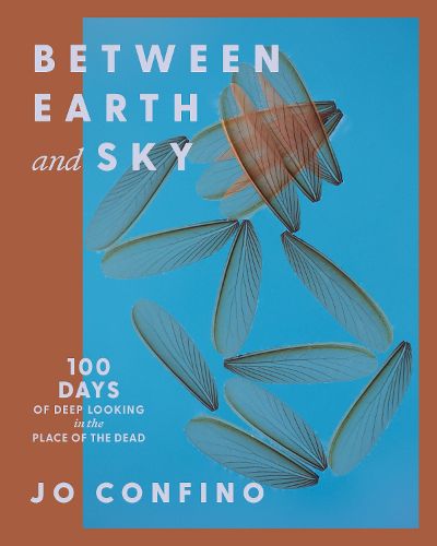 Cover image for Between Earth and Sky