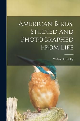 Cover image for American Birds, Studied and Photographed From Life