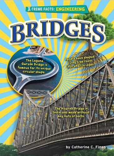 Cover image for Bridges