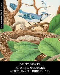 Cover image for Vintage Art: Edwin L Sheppard:40 Botanical Bird Prints: Ornithology Ephemera for Framing, Home Decor and Collages