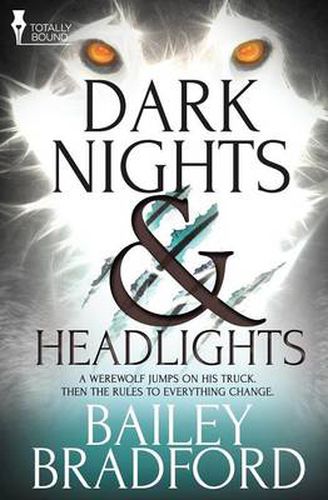 Cover image for Dark Nights and Headlights