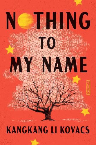 Cover image for Nothing to My Name