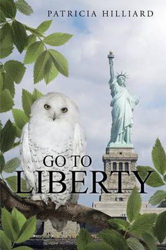 Cover image for Go to Liberty