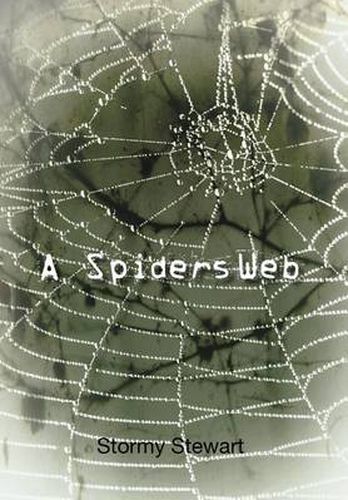 Cover image for A Spiders Web