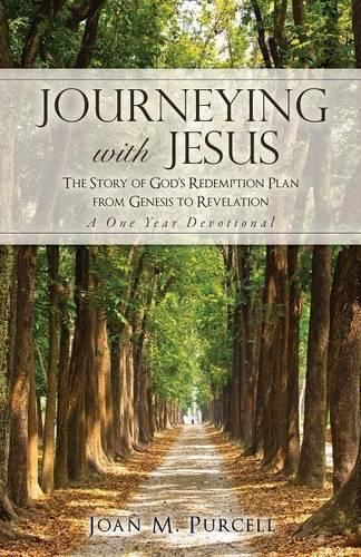 Cover image for Journeying With Jesus