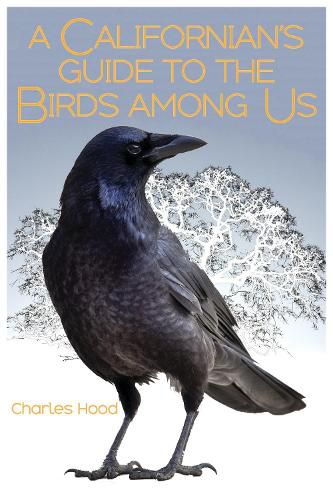 A Californian's Guide to the Birds among Us