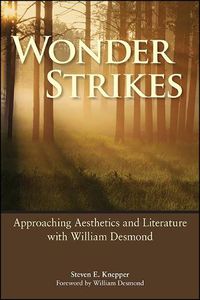 Cover image for Wonder Strikes