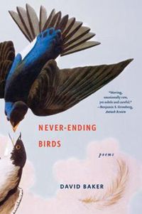 Cover image for Never-Ending Birds: Poems