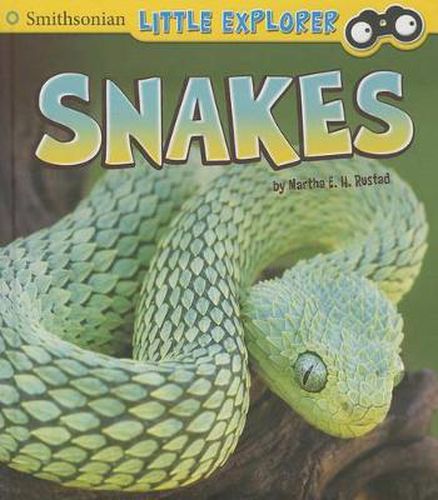 Cover image for Snakes